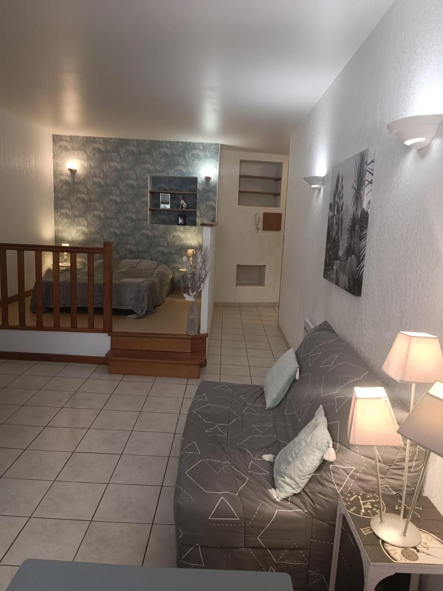 Grand Studio Meuble Chez Coco Romans-sur-Isère Kültér fotó